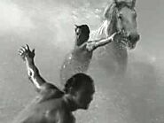 Guinness Surfer Ad (with Horses) 1998