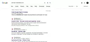 Failure to Check Website Indexing Status in Search Results
