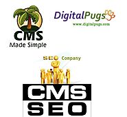 CMS Made Simple SEO Company