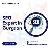 Best SEO Expert in Gurgaon