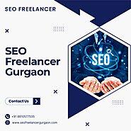 Best SEO Freelancer in Gurgaon