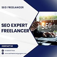 SEO Expert Freelancer for Your Digital Success