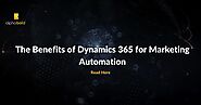 Microsoft Dynamics 365 | NETSUITE | Digital Marketing insights