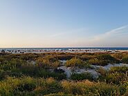 Saadiyat Public Beach