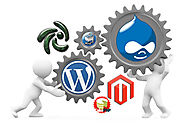 Custom Web Design & development London Experts Will Convey Your Business Excellently