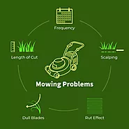Correctly Diagnosing Lawn Problems | Everything Exterior