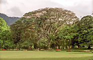 Peradiniya Botanical Garden