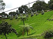 Hakgala Gardens, Nuwara-eliya