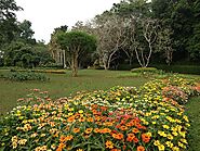 Gampaha Botanical Garden