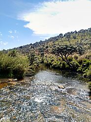 Horton Plains