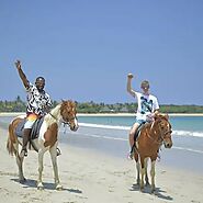 The Best Horse Riding Experience in Fiji | GoFiji.net