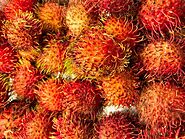 Rambutan