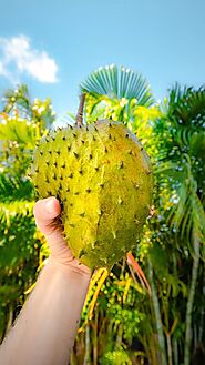 Soursop