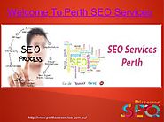 SEO Consultant perth | social media management perth