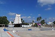 padmavati temple tirupati timings