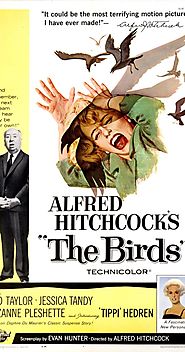 Birds-The Birds (1963)