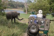 Minneriya National Park