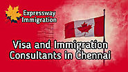 Immigration Consultancy Services