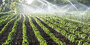 Let's Know About The Benefits of the Agriculture Irrigation System