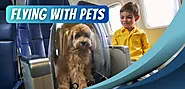 Guide on How to Travel with Pets in Flight | Airlinereviews
