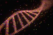 Hash Values are the DNA of Digital Evidence - Forensic Discovery