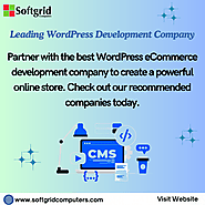 Leading WordPress Customization Company for Tailored Solutions