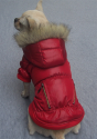 Red - Deluxe Dog Windbreaker - PetSuperDeal.com