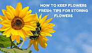 How to Keep Flowers Fresh: Tips for Storing Flowers - The Germinate