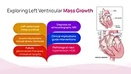 Exploring Left Ventricular Mass Growth