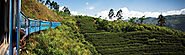 Exploring Sri Lanka's Tea Country: A Journey through the Hill Country - Sri Lanka Authentic Holidays