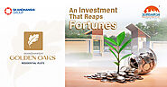 Golden Oaks: An Investment That Reaps Fortunes