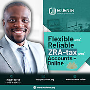 ZRA Online: Flexible and Reliable Tax and Accounts Services for Your Convenience