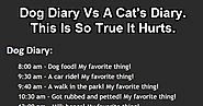 Best Ever Cat vs Dog Diary Comparison