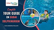 Complete Tour Guide on Dubai Dolphinarium