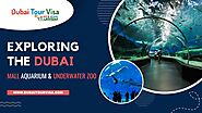 Exploring the Dubai Mall Aquarium & Underwater Zoo