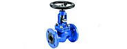 Globe Valves Manufacturers, Exporter, and Suppliers in India - Dhanwant Metal Corporation
