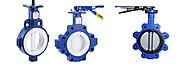 Butterfly Valves Manufacturer in India - Dhanwant Metal Corporation