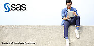 FEATURES OF SAS PROGRAMMING