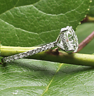 ⌛ Vancouver Engagement Rings