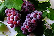 Green vs Black Grapes: Which is Better? - Wellfoodrecipes.com