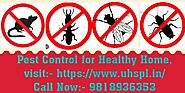 Pest Control Service Providers in Delhi NCR