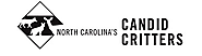 North Carolina Candid Critters