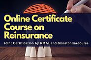 Level Up Your Career: Enroll Now in the Ultimate Reinsurance Online Certificate Course!