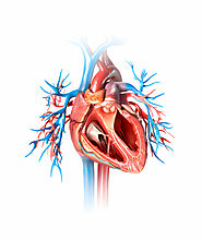 What is Ventricular Trigeminy?