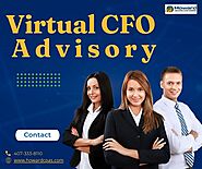 Virtual CFO Advisory Services FL