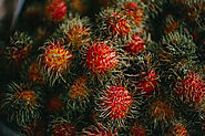 Rambutan