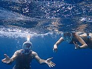 Enjoy Snorkeling