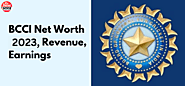 What is The Total Net Worth & Income of BCCI