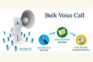 Besr Bulk Voice Call Service Providers | Affordable Price
