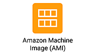 Amazon Machine Images (AMIs)